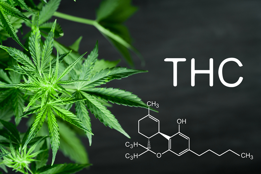 THC and its metabolites